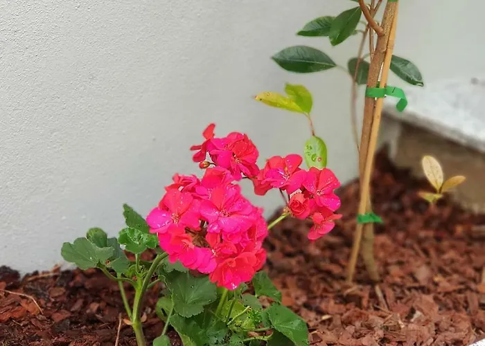 A Francos Metro Daire Porto