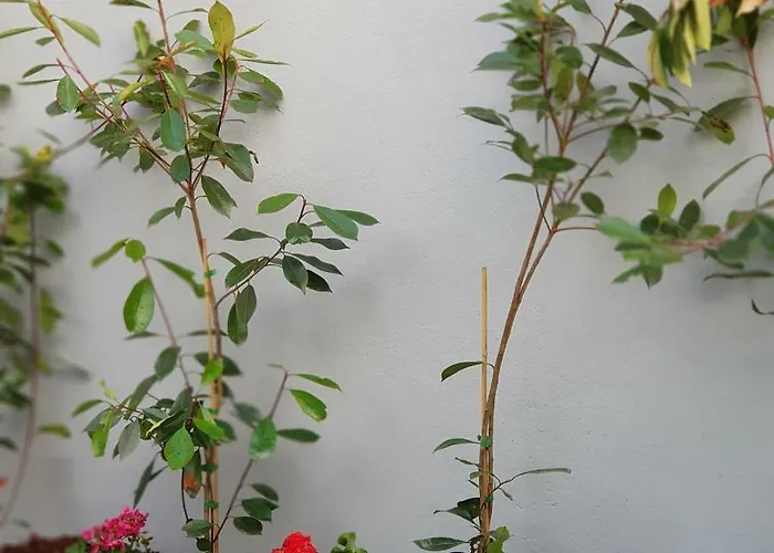 Appartement à Francos Metro Oporto