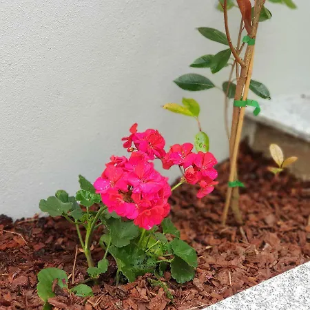 à Francos Metro Appartamento Oporto