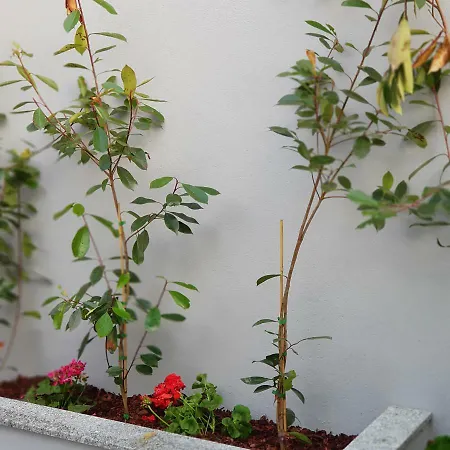 شقة A Francos Metro بورتو